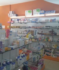 Hafsa Pharmacy