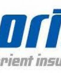 Orient Insurance