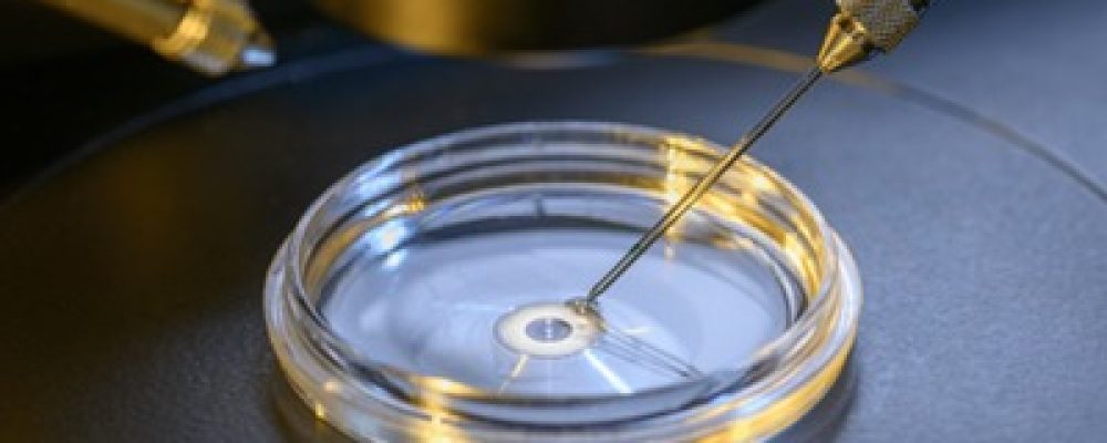Orchid Fertility Dubai Champions Fertility Preservation As Family Planning Trends Shift