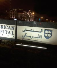 American Hospital Oud Metha